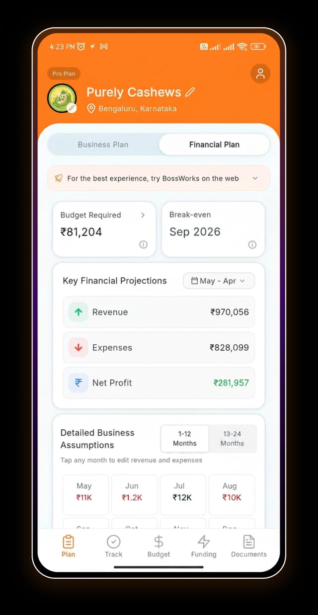 BossWorks Financial Plan on mobile